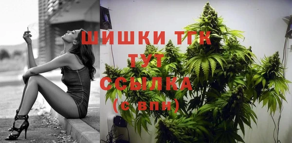 стафф Медногорск