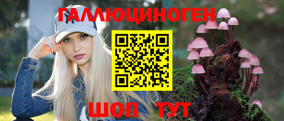 купить наркотики сайты  Галлюциногенные грибы мухоморы  Вход с VPN  Керчь  Псилоцибиновые грибы MAGIC MUSHROOMS 