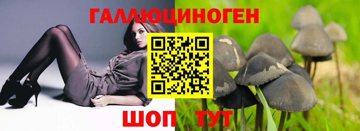 Галлюциногенные грибы мухоморы Керчь